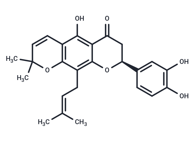 Dorsmanin I