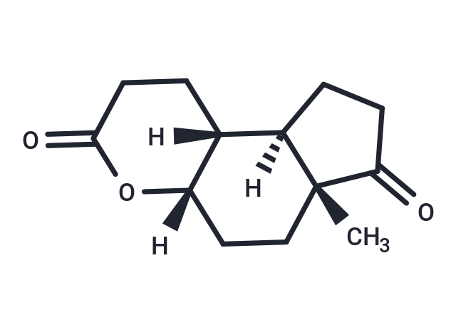 δ-Lactone