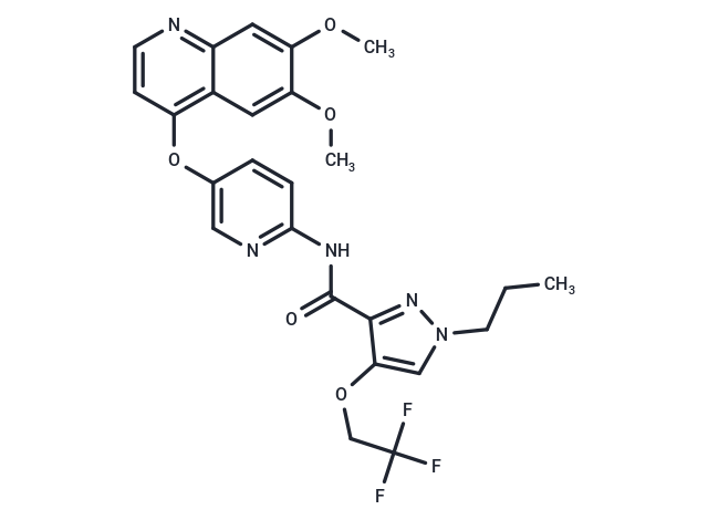 Adrixetinib