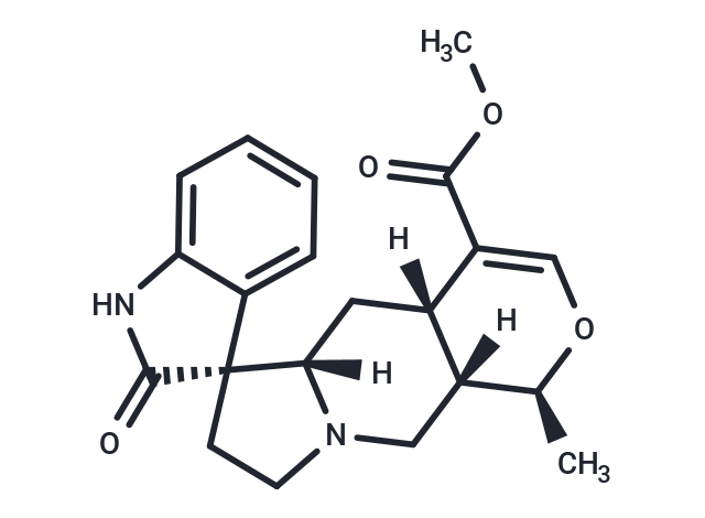 Pteropodine (Standard)