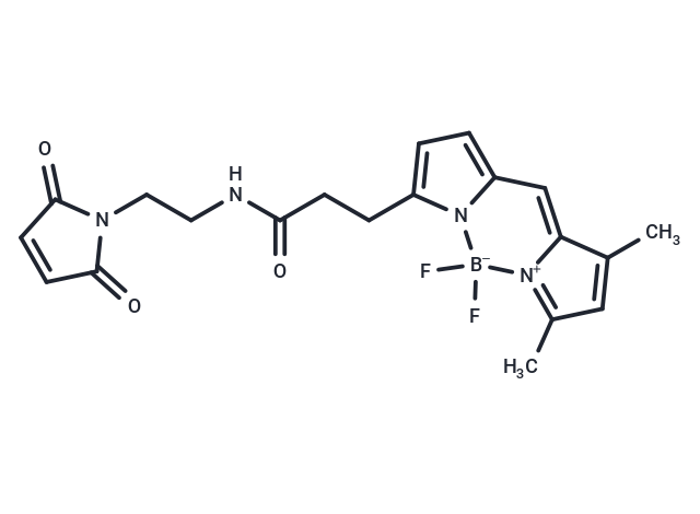 BDP FL maleimide