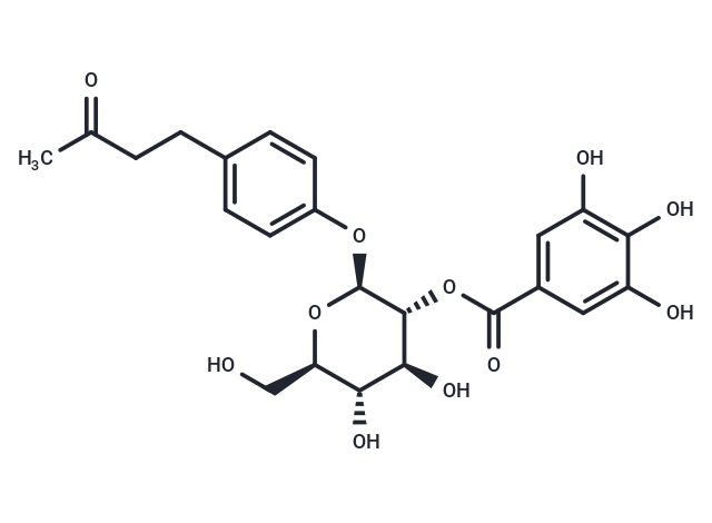 Isolindleyin
