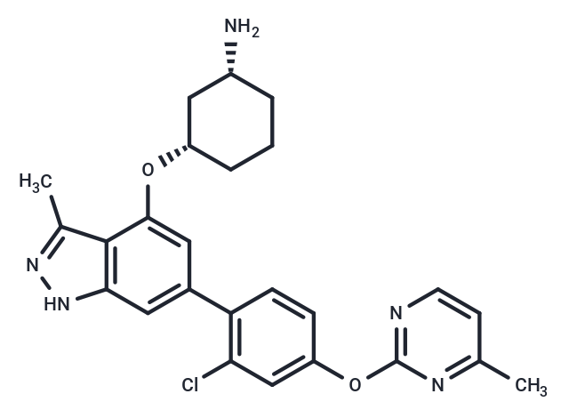 DS03090629