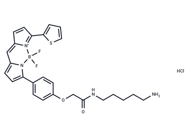 BODIPY TR Cadaverine