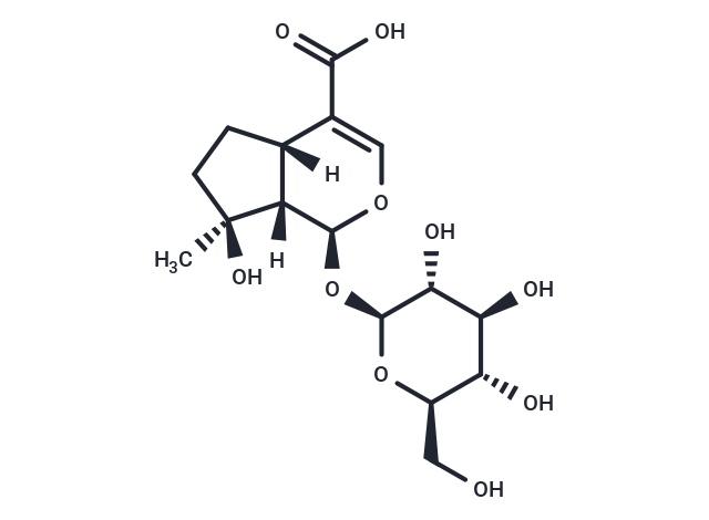 Mussaenosidic acid