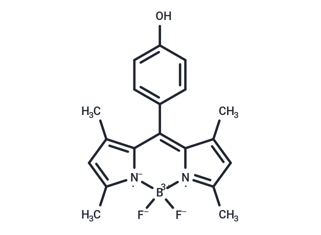 8-(4-hydroxyphenyl)-1,3,5,7-tetramethyl BODIPY