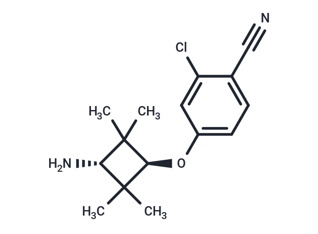 AR antagonist 1