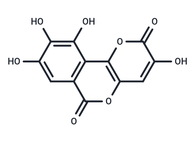 Galloflavin