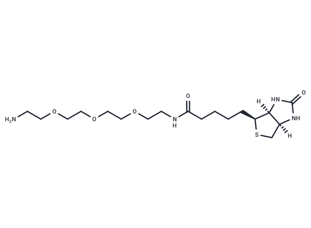 Amine-PEG3-Biotin