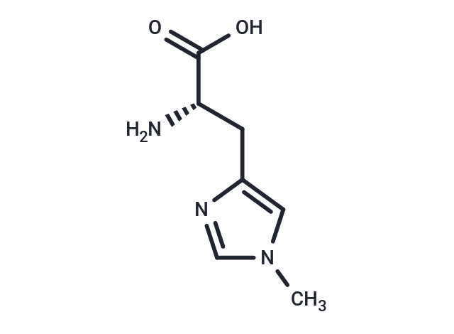 1-Methyl-L-histidine