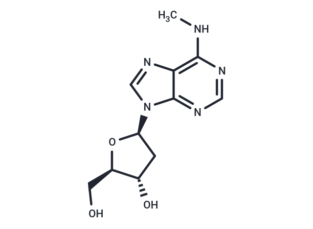 N6-Methyldeoxyadenosine