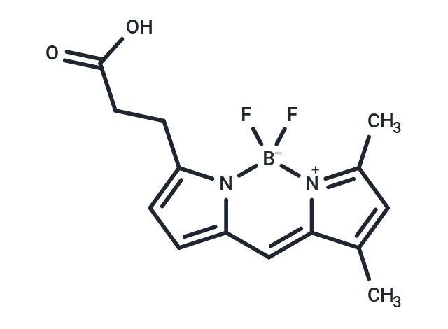 BODIPY-FL