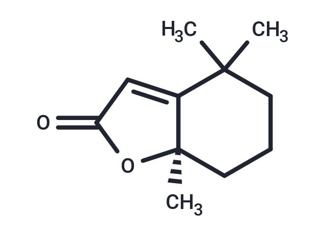 Dihydroactinidiolide (Standard)