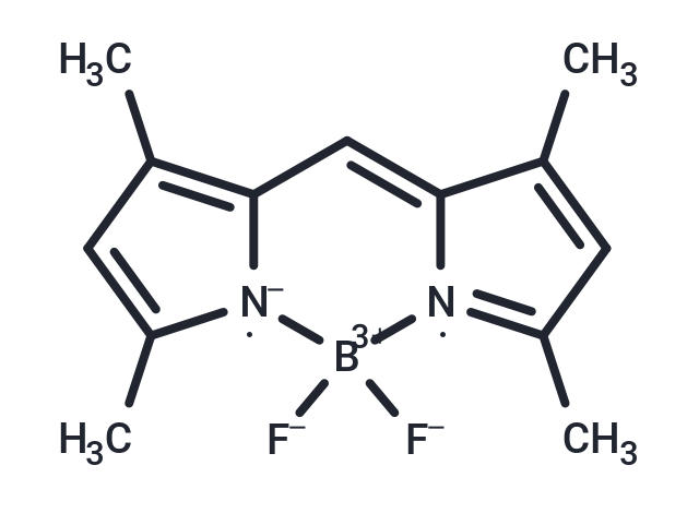 BODIPY 505/515