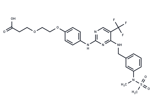 FAK ligand-Linker Conjugate 1