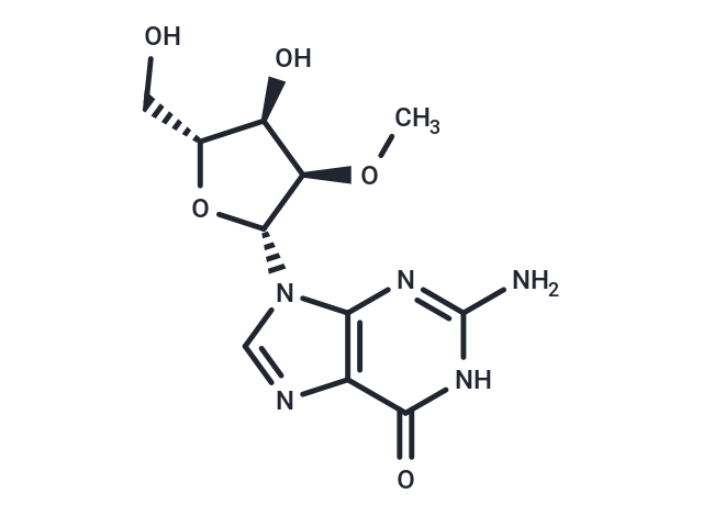 2'-OMe-Guanosine
