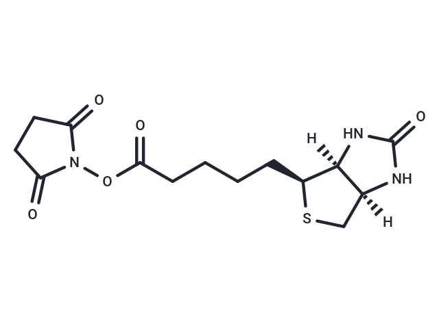Biotin NHS