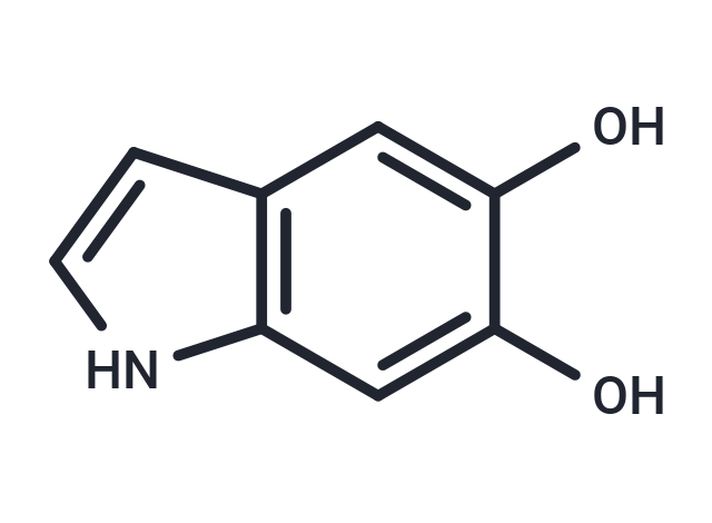 5,6-Dihydroxyindole