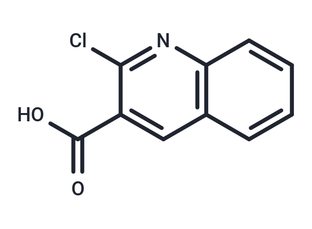2-Chloro-3-quinolinecarboxylic acid