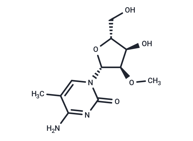 2'-O-Methyl-5-methylcytidine
