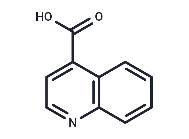 4-Carboxyquinoline