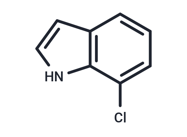 7-Chloroindole
