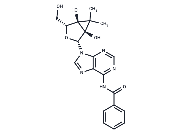 N6-Benzoyl-2',3'-isopropylidene adenosine