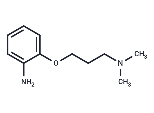 2-[3-(Dimethylamino)propoxy]aniline