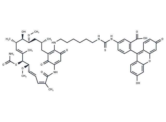 Geldanamycin-FITC