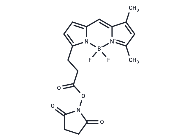 BODIPY-FL NHS ester
