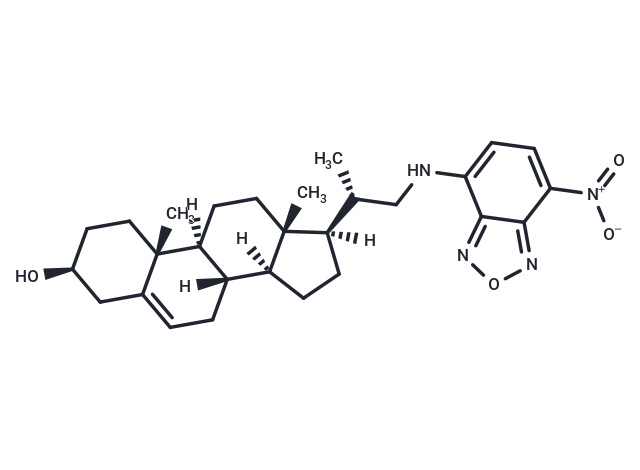 22-NBD Cholesterol
