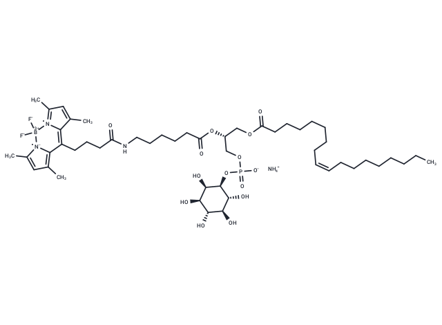 BODIPY-butyramide-C5-COO-Lyso PI ammonium
