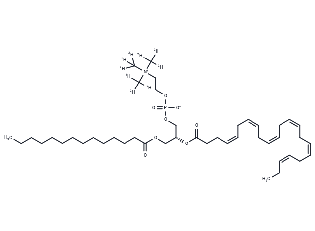 1-Myristoyl-2-docosahexaenoyl-sn-glycero-3-phosphatidylcholine-d9