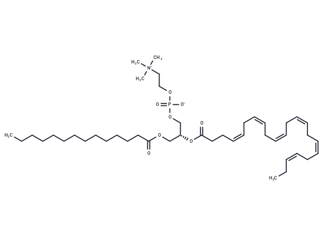 1-Myristoyl-2-docosahexaenoyl-sn-glycero-3-phosphatidylcholine