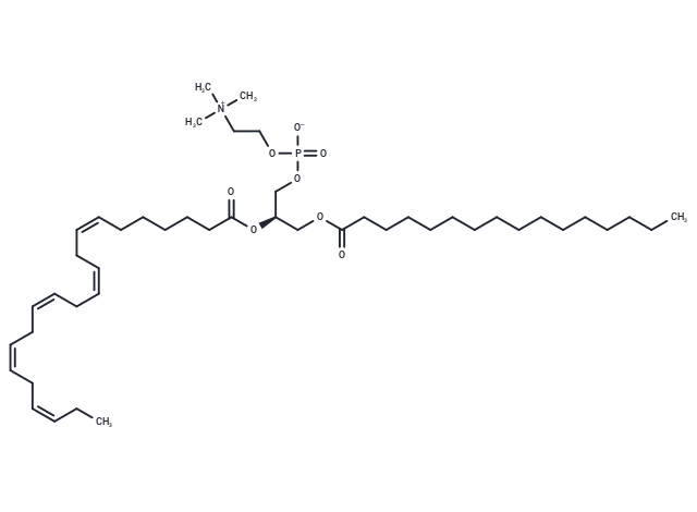 1-Palmitoyl-2-docosapentaenoyl-sn-glycero-3-phosphatidylcholine