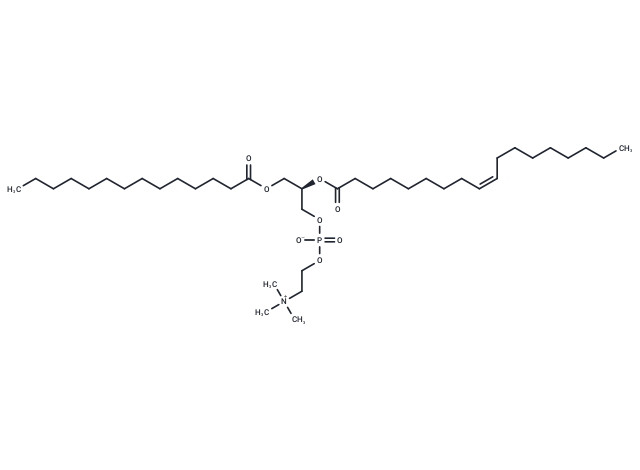 1-Myristoyl-2-oleoyl-sn-glycero-3-phosphocholine