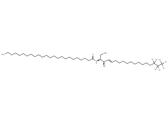 C24 Ceramide-D7