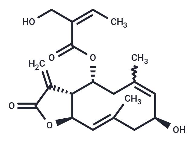 Deacetyleupaserrin