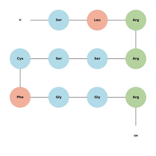 ANP (1-11), rat