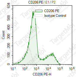 Anti-CD206 Antibody-PE (15-2)