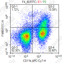 Anti-F4/80 Antibody-FITC (BM8.1)