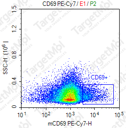 Anti-CD69 Antibody-PE-Cy7 (H1.2F3)
