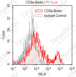 Anti-CD8a Antibody-Biotin (HIT8a)