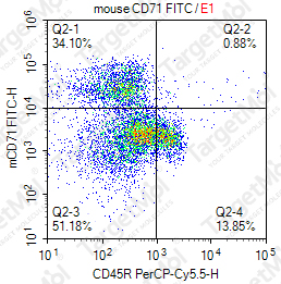 Anti-CD71 Antibody-FITC (RI7217)
