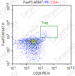 Anti-FOXP3 Antibody-AF647 (SB151b)