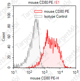 Anti-CD80 Antibody-PE (1G10)