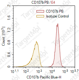 Anti-CD107b Antibody-Pacific Blue (H4B4)