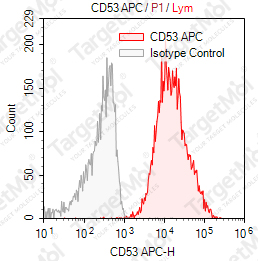 Anti-CD53 Antibody-APC (C53-2)