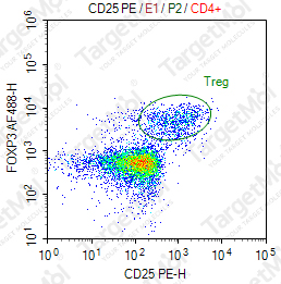 Anti-CD25 Antibody-PE (PC61.5)