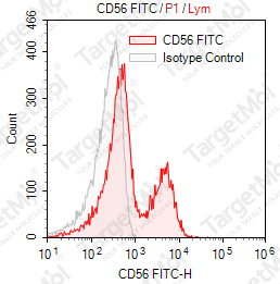 Anti-CD56 Antibody-FITC (MY31)